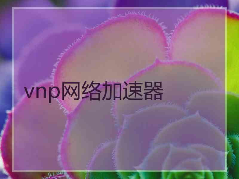 vnp网络加速器